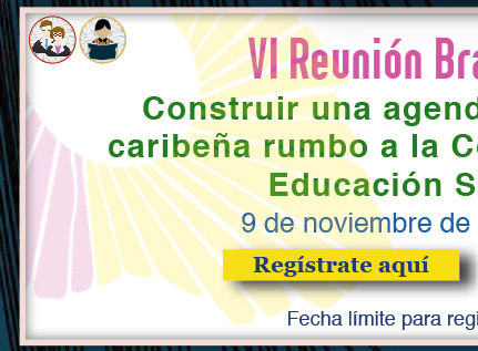 VI Reunión Brasil-Cono Sur (Registro)